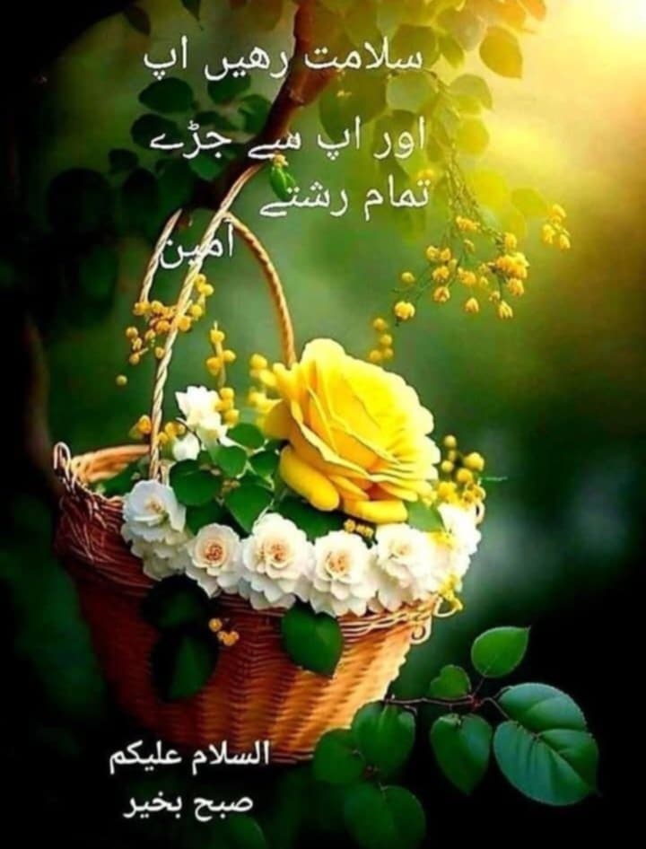 Javed60M's tweet image. السلام علیکم و رحمت اللہ و برکاتہ 
صبح بخیر