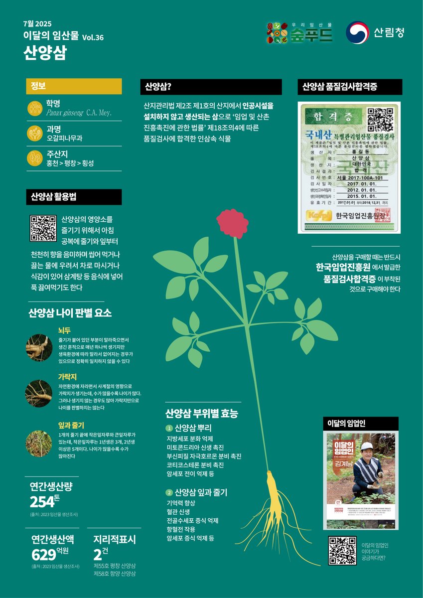 7월의 임산물, #산양삼🌱

자연 상태에 가까운 산림환경에서 재배되는 임산물로
사포닌, 진세노사이드 등 유효 성분 함량이 높은 것이 특징인데요☑️

무더운 여름철 기력 보충과 면역력 강화에 좋은 산양삼!💚
여러분의 많은 사랑 부탁드립니다🙇🏻‍♀️