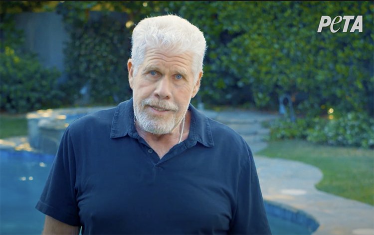 John Law (@johnlawmedia) on Twitter photo Ron Perlman to Niagara Falls: Enough with the fireworks
<a href="/perlmutations/">Ron Perlman</a> niagarafallsreview.ca/entertainment/… via @niafallsreview Ron Perlman to Niagara Falls: Enough with the fireworks
<a href="/perlmutations/">Ron Perlman</a> niagarafallsreview.ca/entertainment/… via @niafallsreview
