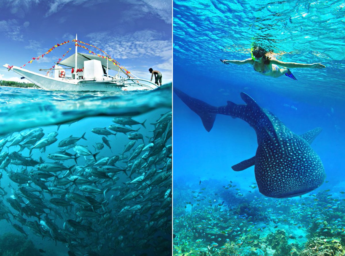 Just One Way Ticket tweet media