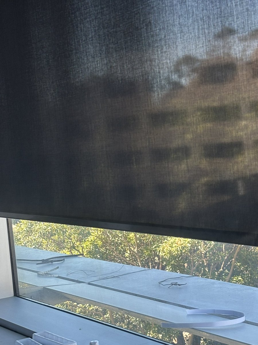 My office magpie is back for another year of covering the ledge in wires and cableties. Apparently there is little evidence of magpies caching nest materials(?)… I hope this is a friendly stare and I’m going to be safe this swooping season🤞🏻