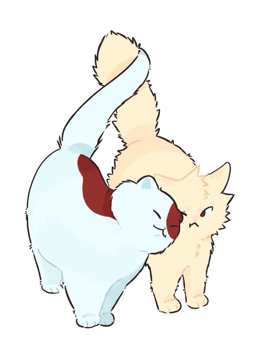 BlubrryMoofin's tweet photo. #Tdbk 🐱❤️🐱 https://t.co/rueaMXLzbi