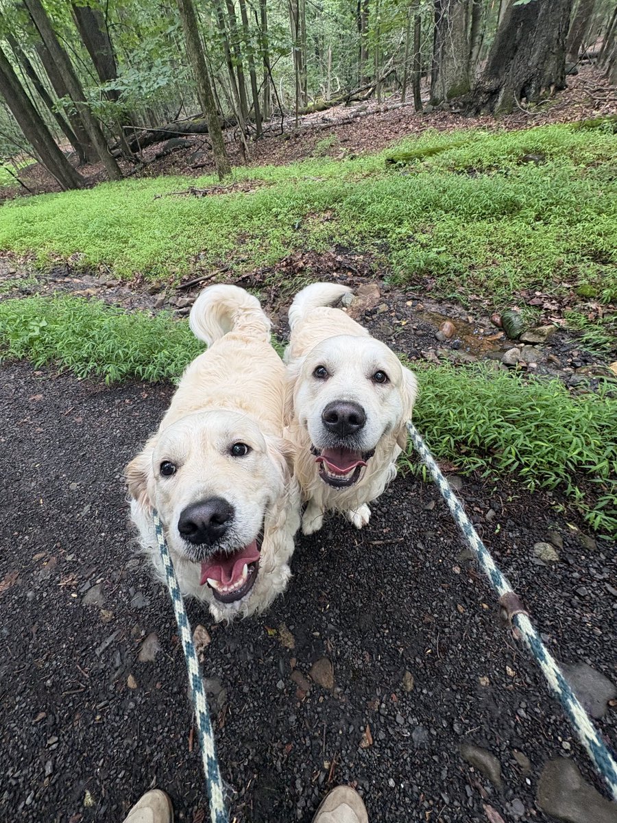 Kevin Reilly tweet media