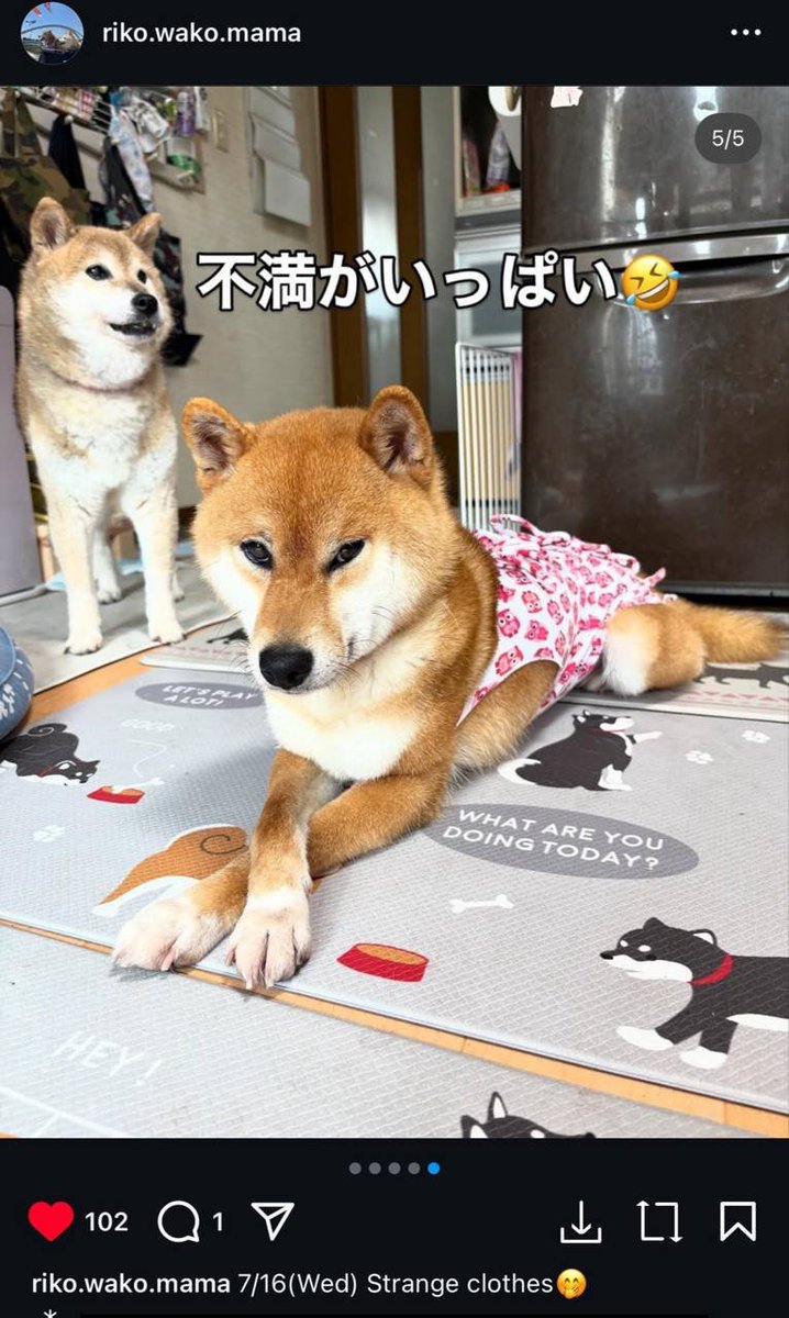 $SUI is just giving y'all the ''Pause''.