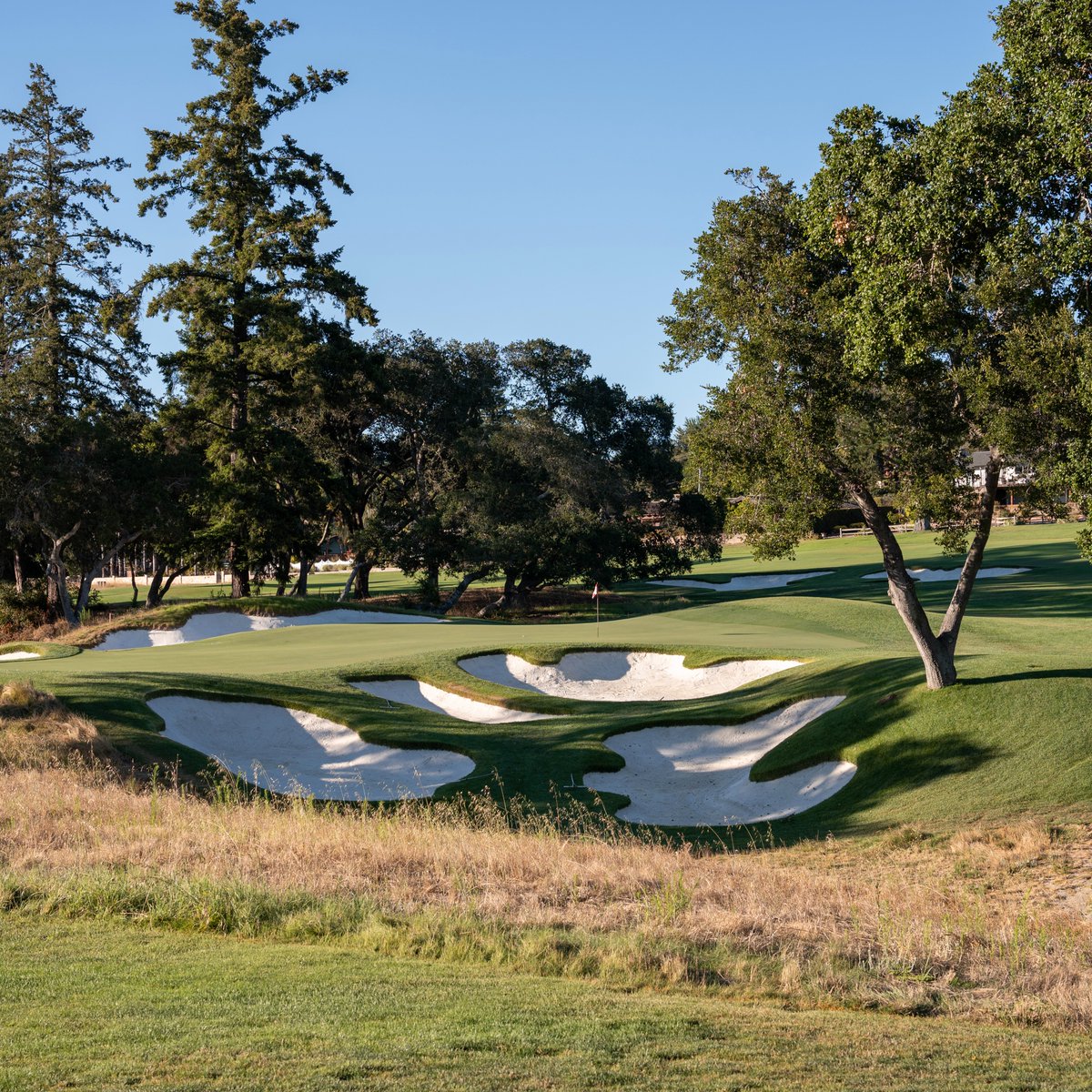 garrett_TFE's tweet image. Pasatiempo was the first great golf course I played, and it means a lot to me. Good to get back there yesterday and see the results of Jim Urbina's renovation. I think the rebuilt 15th, seventh, fourth, and 10th greens (in order below) turned out really well.