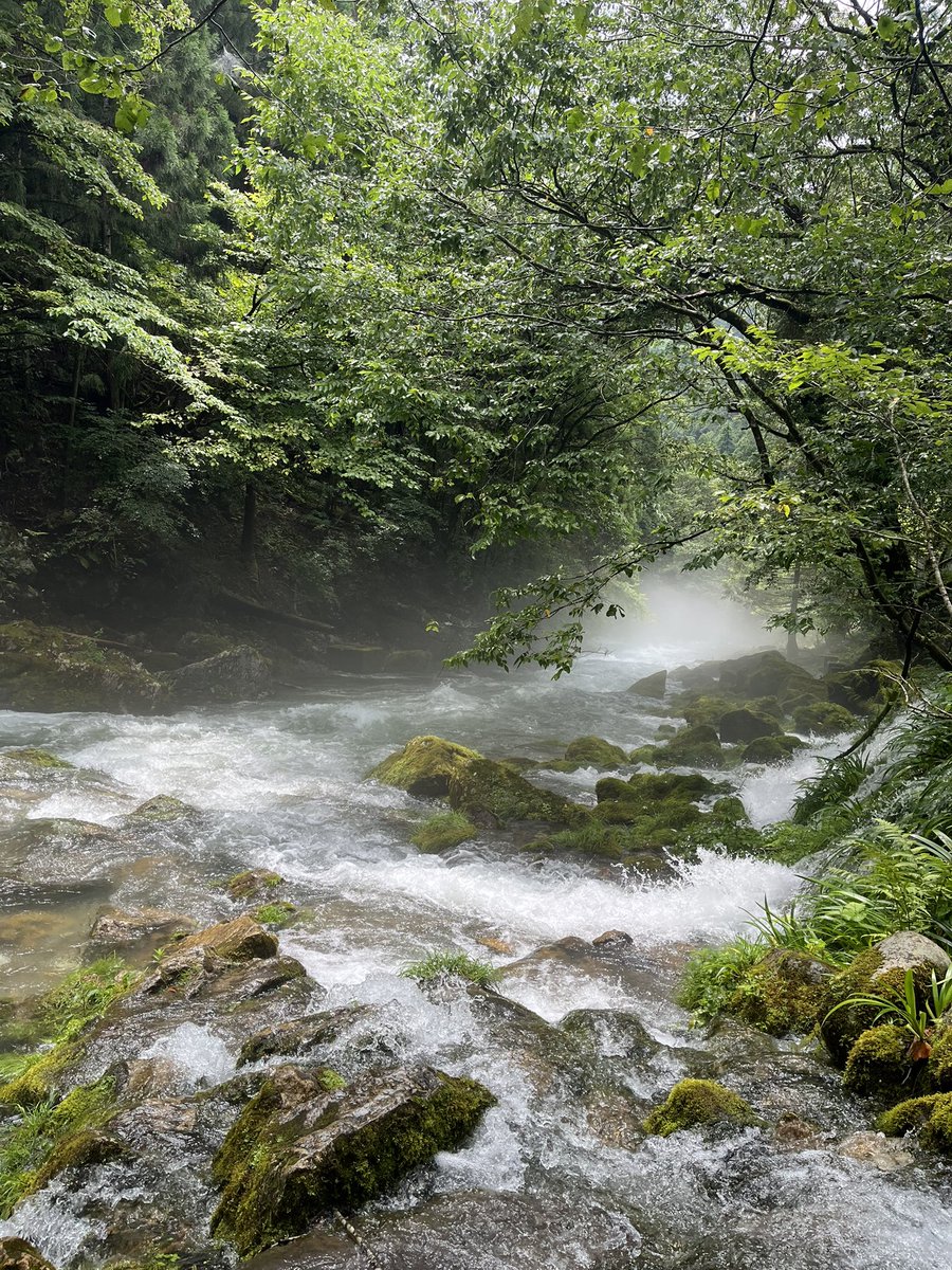 自然は癒される😌