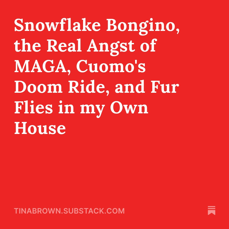 TinaBrownLM's tweet image. Check out my Tuesday thoughts on Substack’s Fresh Hell on the subtext of MAGA discontent, Oh No Cuomo!, and the mayhem in my own house.
tinabrown.substack.com/p/snowflake-bo…