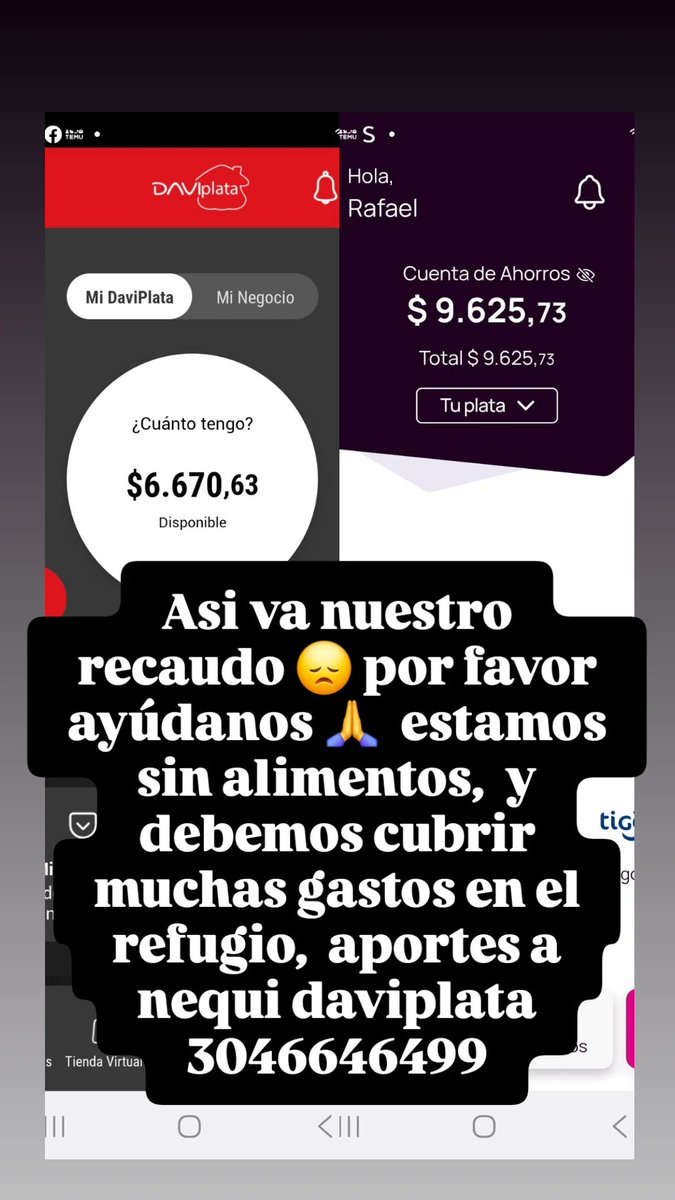 FSanador's tweet photo. Nos quedamos sin alimentos,  por mas que hemos tocado puertas,  cada día nuestra crisis aumenta,  por favor ayúdanos 🙏  tenemos 240 peludos sin alimentos,  todo suma , aportes a nequi daviplata 3046646499 https://t.co/WZDTT7xB5n