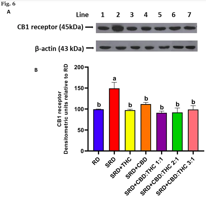 J P Fanton (@healthyfellow) on Twitter photo Effects of five #cannabis oils w/ different #CBD : #THC ratios & #terpenes on #hypertension, #dyslipidemia, hepatic steatosis, oxidative stress & CB1 receptor in an experimental model
jcannabisresearch.biomedcentral.com/articles/10.11…
<a href="/_atanas_/">Atanas G. Atanasov</a> <a href="/_INPST/">International Natural Product Sciences Taskforce</a> <a href="/ScienceCommuni2/">Science Communication</a> <a href="/DHPSP/">Digital Health and Patient Safety Platform</a> <a href="/drmikehart/">Mike Hart, M.D</a> <a href="/cannabist/">The Cannabist</a> Effects of five #cannabis oils w/ different #CBD : #THC ratios & #terpenes on #hypertension, #dyslipidemia, hepatic steatosis, oxidative stress & CB1 receptor in an experimental model
jcannabisresearch.biomedcentral.com/articles/10.11…
<a href="/_atanas_/">Atanas G. Atanasov</a> <a href="/_INPST/">International Natural Product Sciences Taskforce</a> <a href="/ScienceCommuni2/">Science Communication</a> <a href="/DHPSP/">Digital Health and Patient Safety Platform</a> <a href="/drmikehart/">Mike Hart, M.D</a> <a href="/cannabist/">The Cannabist</a>