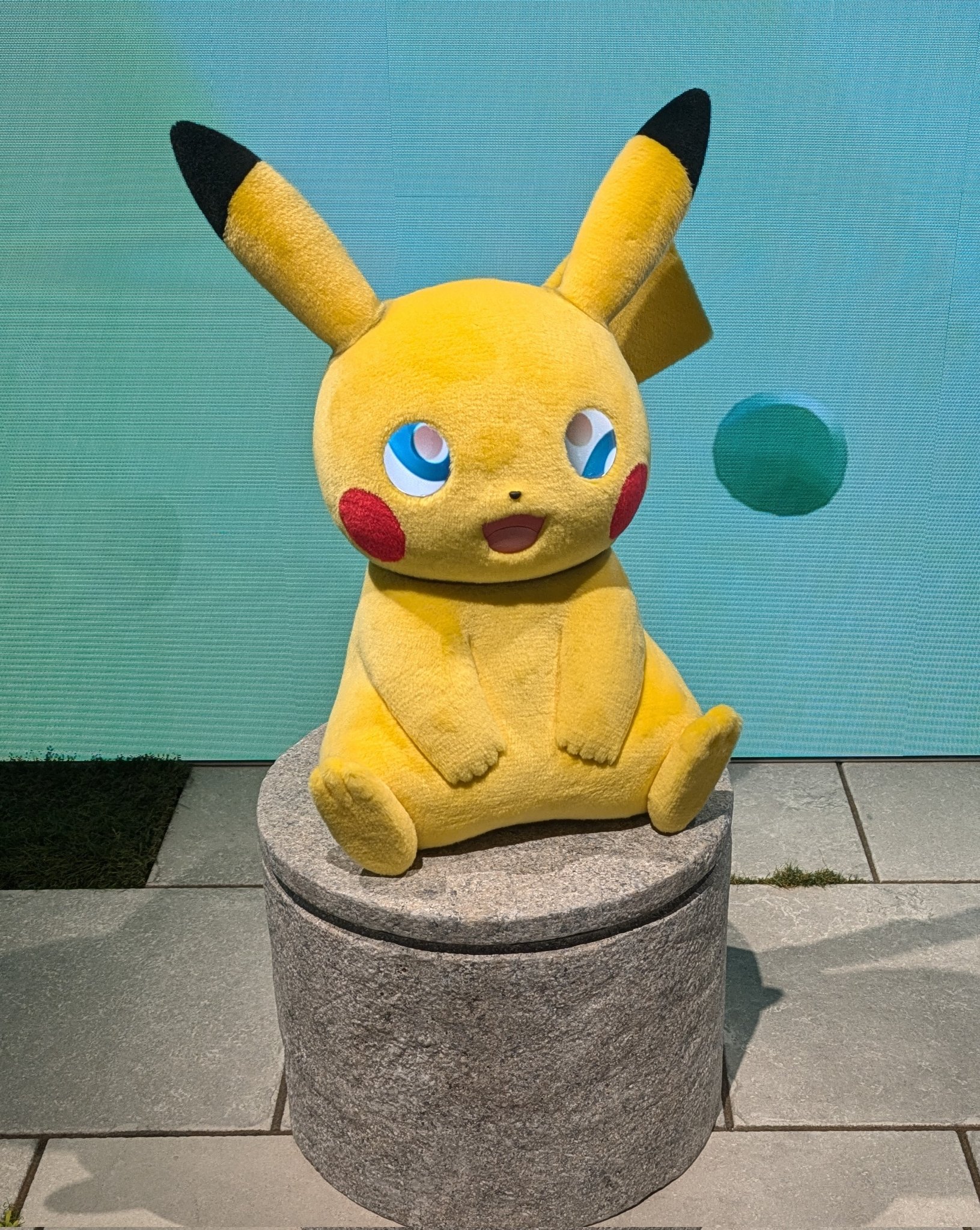まゆの使ってたリザードン・まゆのピカチュウ・まゆのラッキー まゆの使ってたリザードン・まゆのピカチュウ・まゆのラッキー