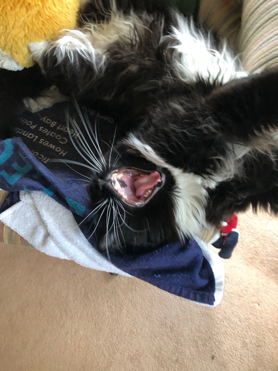 $50 a week?  that's chump change for Zanche who has limitless credit &amp; can't be bothered with petty cash.  so please stop soliciting her with your silly scams.