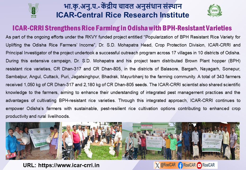 ICAR-Central Rice Research Institute, Cuttack (@riceicar) on Twitter photo ICAR-Central Rice Research Institute, Cuttack Strengthens Rice Farming in Odisha with BPH-Resistant Varieties. <a href="/RiceIcar/">ICAR-Central Rice Research Institute</a> <a href="/icarindia/">Indian Council of Agricultural Research.</a> <a href="/AgriGoI/">Agriculture INDIA</a> <a href="/mygovindia/">MyGovIndia</a> <a href="/DDKisanChannel/">Doordarshan Kisan - दूरदर्शन किसान</a> ICAR-Central Rice Research Institute, Cuttack Strengthens Rice Farming in Odisha with BPH-Resistant Varieties. <a href="/RiceIcar/">ICAR-Central Rice Research Institute</a> <a href="/icarindia/">Indian Council of Agricultural Research.</a> <a href="/AgriGoI/">Agriculture INDIA</a> <a href="/mygovindia/">MyGovIndia</a> <a href="/DDKisanChannel/">Doordarshan Kisan - दूरदर्शन किसान</a>
