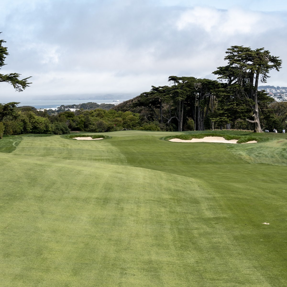 garrett_TFE's tweet image. Not going to lie and say I love the Olympic Club's Lake Course, but I respect it. It puts you in a cage match against the slope of the property, and if you're not a stellar player, you're probably going to lose.
Looking forward to this year's U.S. Amateur.
