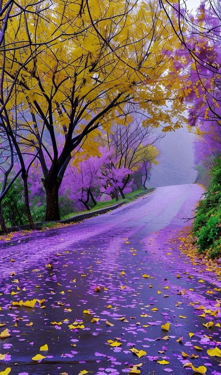 Aesthetics (@aestheticspost_) on Twitter photo 