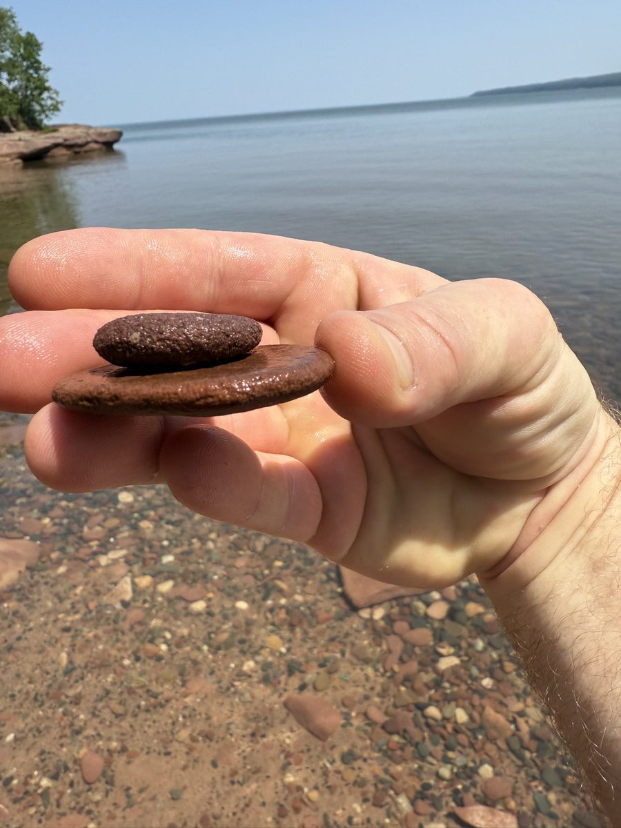 GeorgeBaker96's tweet image. Pulled two absolutely perfect skipping stones off the shores of @LakeSuperior near Port Wing, WI. Absolute units