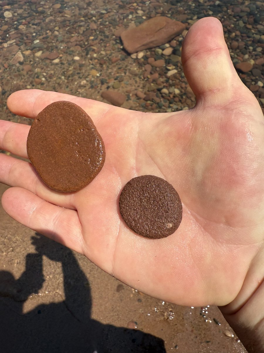 GeorgeBaker96's tweet image. Pulled two absolutely perfect skipping stones off the shores of @LakeSuperior near Port Wing, WI. Absolute units