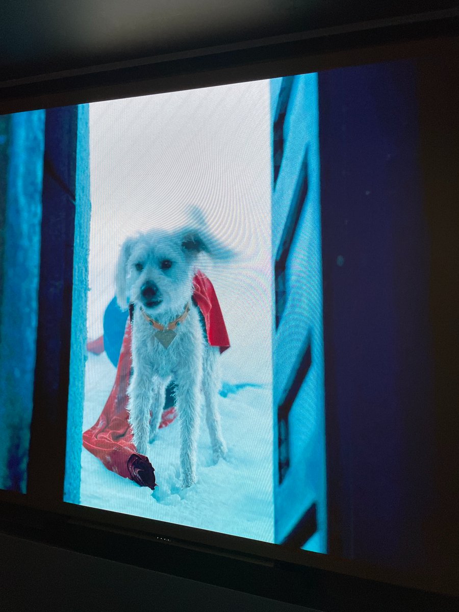 『スーパーマン』鑑賞（IMAX）。
スーパーマンという（よくある半端なアメコミ雑語りから『ザ・ボーイズ』などの尖った作品まで）ものすごい大量の逆張り冷笑に晒されてきたヒーローの物語を、今だからこそあえてきっちり正面から熱く語ってやるぞ！という気概に心打たれた。そして評判通り犬映画🐕️