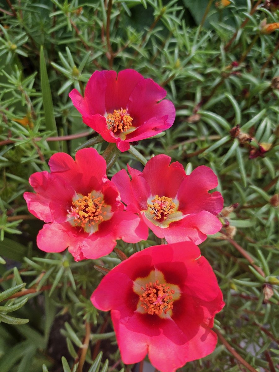 나이 들어도
뜻을 잃지 않으면
늙은 것이 아니다.