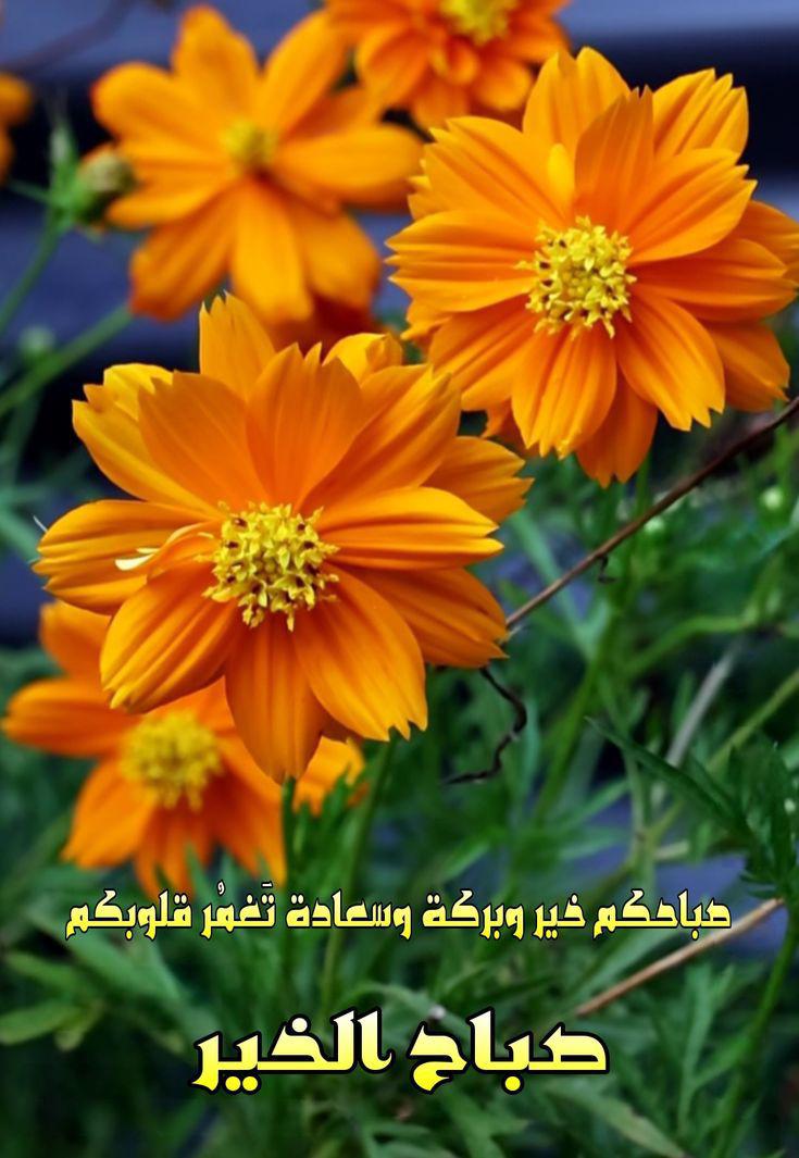 <a href="/VMUwfrjLOa6zba5/">روح رياضيه</a>