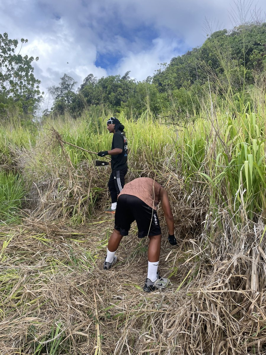 Laie Farm Service Project #RebelSquad