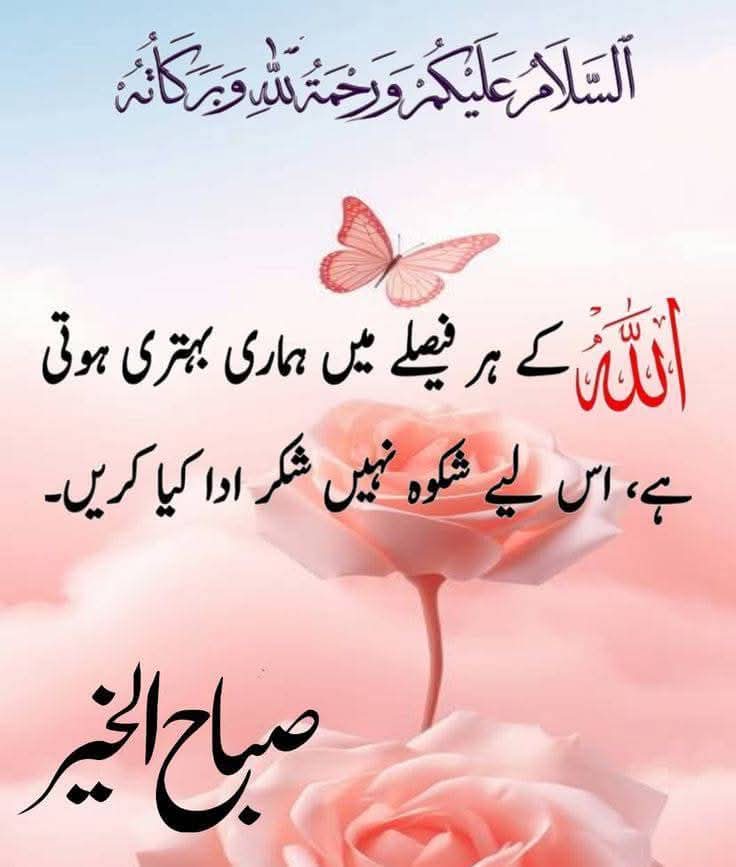 السلام علیکم ورحمتہ اللہ۔۔۔۔۔۔۔۔۔۔۔۔۔
صبح بخیر زندگی ۔۔۔۔۔۔۔۔۔۔۔۔۔۔۔۔۔۔
نصیب سے زیادہ قیمتی دعا ہوتی ہے کیونکہ جب زندگی میں سب کچھ بدل جائے تو صرف دعا بچتی ہے جو نصیب بدلنے پر بھی قدرت رکھتی ہے۔
 دعا کا کوئی رنگ نہیں ہوتا مگر جب یہ رنگ لاتی ہے تو زندگی میں ہر طرف رنگ ہی رنگ بکھر