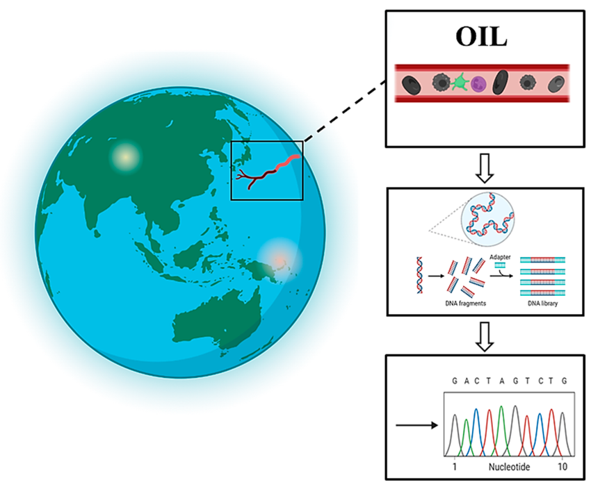 geologyBits's tweet photo. In Geology ✔️ Mineralogy - Botany
#PetroleumDNA #eDNA #MicrobialHistory #Geology
🚨 Breaking: "Current News in Geology"
🔁 Unlocking the Microbial Past: The Hidden DNA of Petroleum
▶️ Did you know that petroleum holds secrets to ancient ecosystems? Scientists are decoding "Petroleum DNA" to uncover the microbial history trapped within oil reservoirs, revealing clues about Earth’s deep past.
Formation Story
Petroleum, formed over millions of years from organic matter under intense heat and pressure, is more than just a fossil fuel.
Within its complex hydrocarbons
traces of environmental DNA (eDNA) from ancient microbial communities are preserved.
These microbes
thriving in primordial environments, played a key role in the biogeochemical processes that shaped oil reservoirs.
By studying this "Petroleum DNA,"
researchers can reconstruct the ecological and evolutionary history of these subsurface environments, offering a window into Earth’s microbial past.
Geological Information
Petroleum reservoirs form in sedimentary basins where organic-rich materials, such as ancient plankton and algae, are buried and subjected to high temperatures (50–150°C) and pressures over geological timescales.
These conditions foster
anaerobic microbial activity, which degrades organic matter into hydrocarbons.
The eDNA preserved
in these reservoirs captures genetic signatures of ancient microbes, including extremophiles adapted to harsh subsurface conditions.
Advanced sequencing techniques
like metagenomics, allow scientists to analyze this eDNA, identifying microbial taxa and their metabolic roles in oil formation.
Geological factors
such as reservoir depth, porosity, and mineral composition, influence eDNA preservation, making some oil fields, such as those in the North Sea or Gulf of Mexico, prime targets for study.
▶️ Interesting Fact
Some petroleum reservoirs contain DNA from microbes that lived over 100 million years ago, offering a genetic snapshot of ecosystems from the age of dinosaurs.
🔎 What secrets do you think Earth’s ancient microbes could reveal about our planet’s history?
🔁 Like & Share your thoughts below!
Resource: https://t.co/PjfTzNkfMK › pdf › 2412.06550