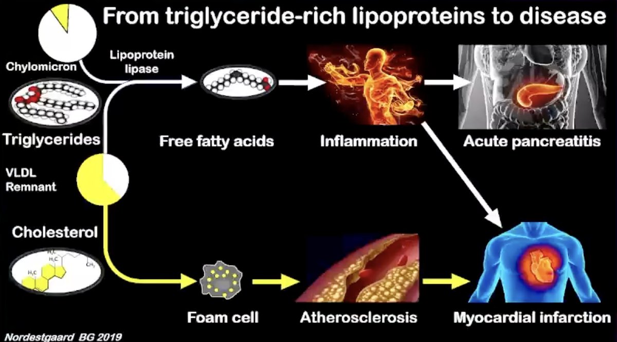 pzhong2016's tweet image. Remnant Cholesterol and Triglyceride-Rich Lipoproteins
vumedi.com/video/remnant-…