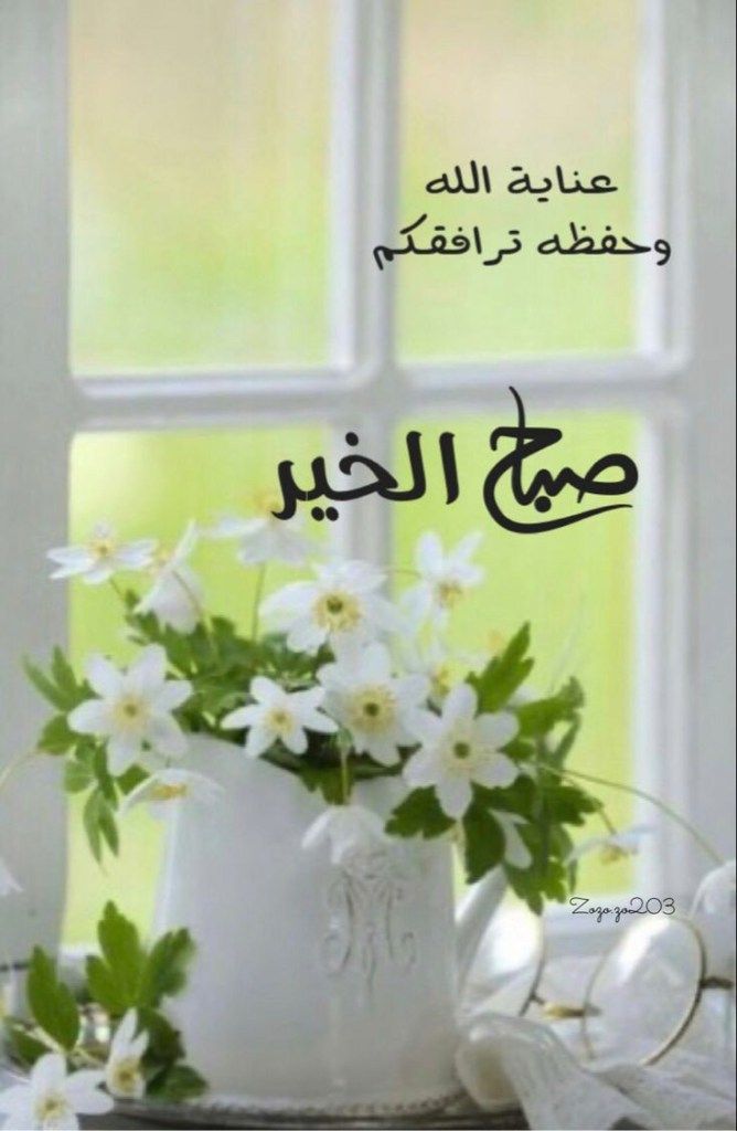 ..🌹مرحبًا وعافية وكل الخير.. لكُل من ينتظر صفحتي بكل حُبٍ وشُوق،، ولكُل من إنضم ضيفًا جديداً لصفحتي،،ثم المعذرة والسلامة والعافية لكُل الراحلين منها🌹..