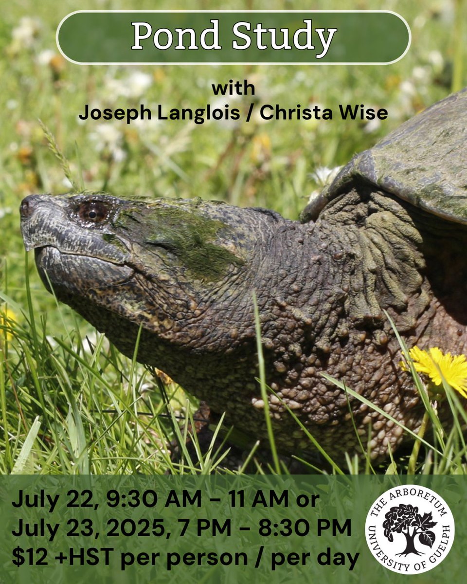 Pond Study!
Tuesday, July 22, 2025, 9:30 AM - 11 AM or
Wednesday, July 23, 2025, 7 PM - 8:30 PM
In-Person
Instructors: Joseph Langlois / Christa Wise
Fee: $12 +HST per person, per day
Register here: arboretum.uoguelph.ca/educationandev…
#UoGArboretum #UofG #Guelph #Ponds