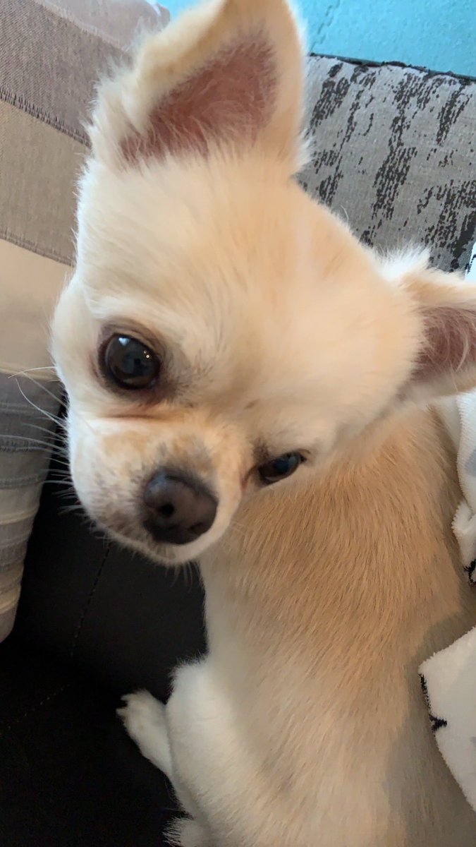 おはようございます☺️
今日も1日ファイト💪