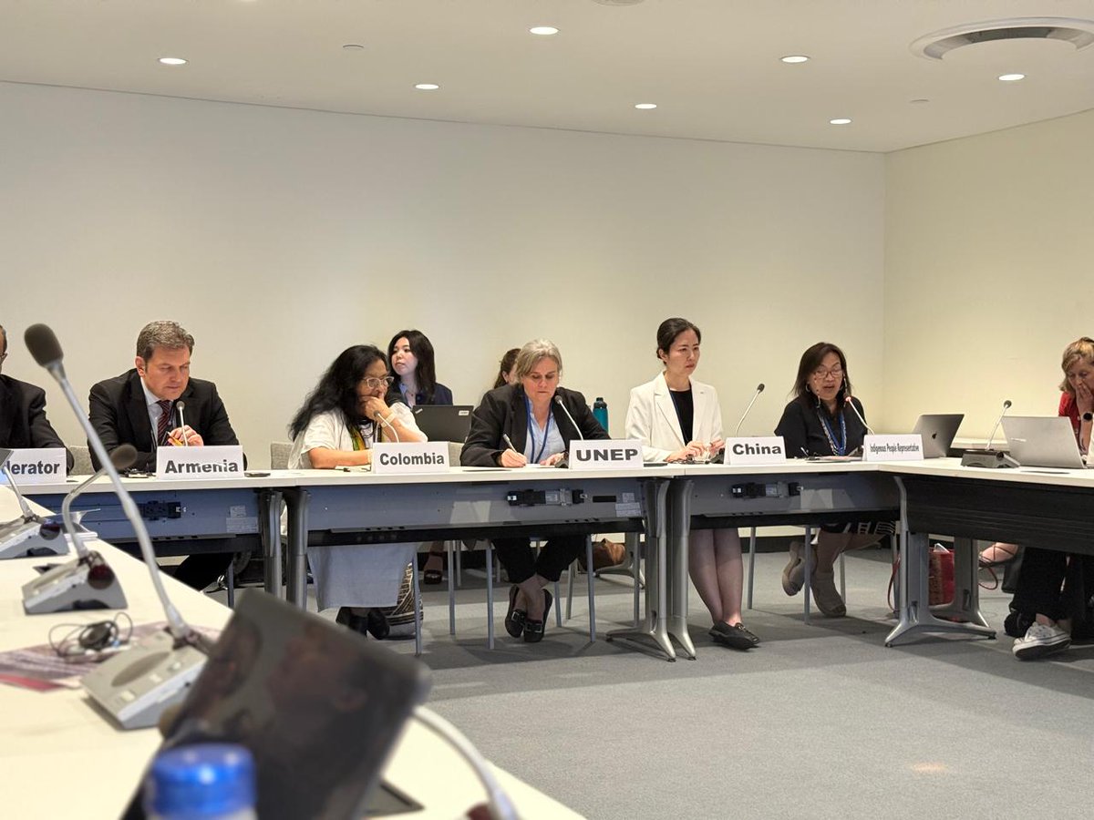 #HLPF2025 | Eleanor  Dictaan-Bang-oa, Indigenous Women  Program of Tebtebba and the secretariat to the Asian Indigenous Women's Network , spoke during the side event ‘𝐀𝐝𝐯𝐚𝐧𝐜𝐢𝐧𝐠 𝐭𝐡𝐞 𝐈𝐦𝐩𝐥𝐞𝐦𝐞𝐧𝐭𝐚𝐭𝐢𝐨𝐧 𝐨𝐟 𝐭𝐡𝐞 𝟐𝟎𝟑𝟎 𝐀𝐠𝐞𝐧𝐝𝐚 𝐭𝐡𝐫𝐨𝐮𝐠𝐡 𝐭𝐡𝐞