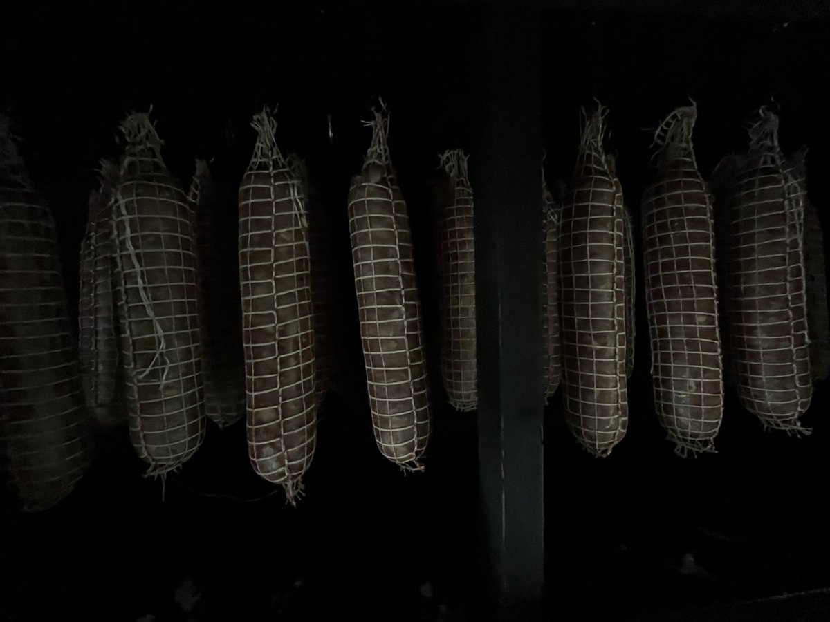 Curing meat is like contemplating an idea.. Consciously internalising it for the optimal duration.. resulting in a foreseeable supreme resonance.
Timing, testing, noting failure and repeating successes.
