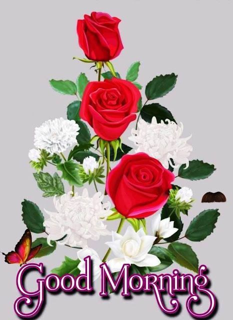 Good morning beautiful day.!!!
#KiaraAdvani #SB19 #おそ松さん 
#LINEMANถูกสุดทุกวันxFB