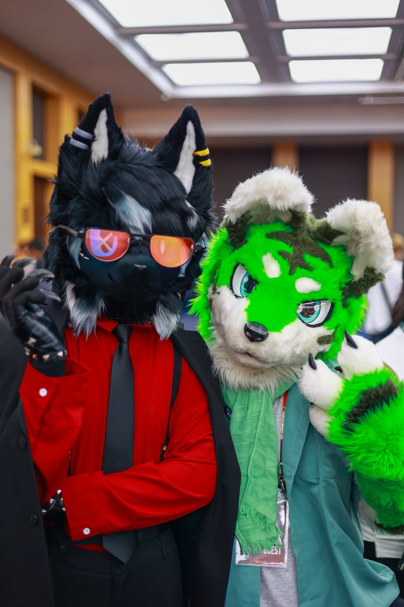 Hyuki_Deimos's tweet image. #퍼리_𝕏친소 
#퍼리_트친소
#FURSTCLASS
오랜만에 트친소 해볼겸 올려봐요!

퍼클에서 영어 통역 스태프로 일하다가 퍼슈팅한 휴키라고 해요! 
(퍼슈트 이름은 데이모스에요!)

흔적 남겨주시면 빛의 속도로 달려가서 팔로우 해드려요!