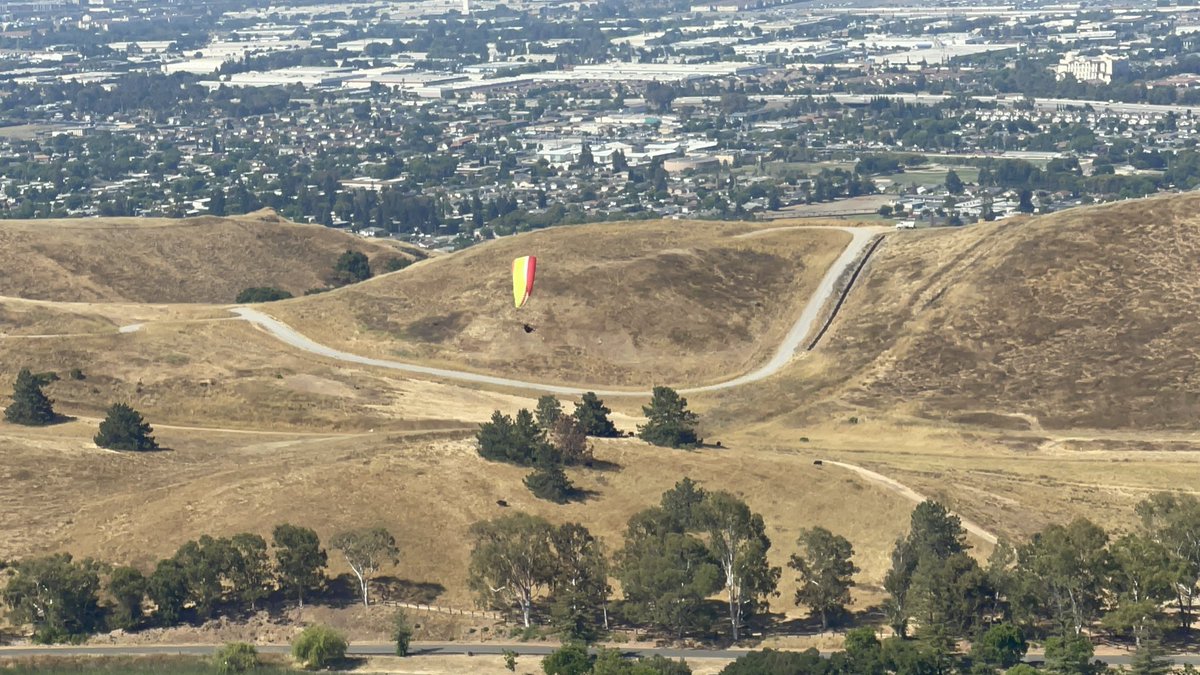 _ricburton's tweet image. New Side Quest: Having explored the ocean & land of Silicon Valley, I now want to see it from the air
Started paragliding this weekend