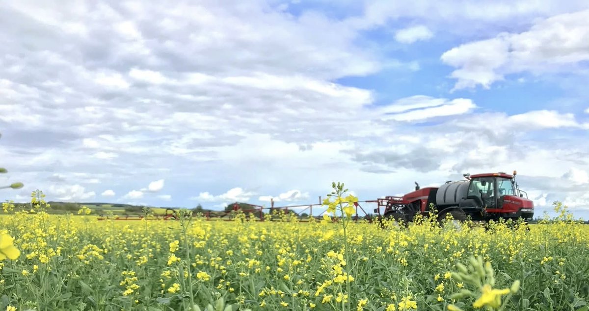 Fungicide timing is all about giving your crops the best chance to thrive and no one understands that better than your local team at Horizon Fertilizers. 🌾

Bruno: (306) 369-2830
Cudworth: (306) 256-2300
Humboldt: (306) 682-2574
Lake Lenore: (306) 368-2338

#fungicide #saskag