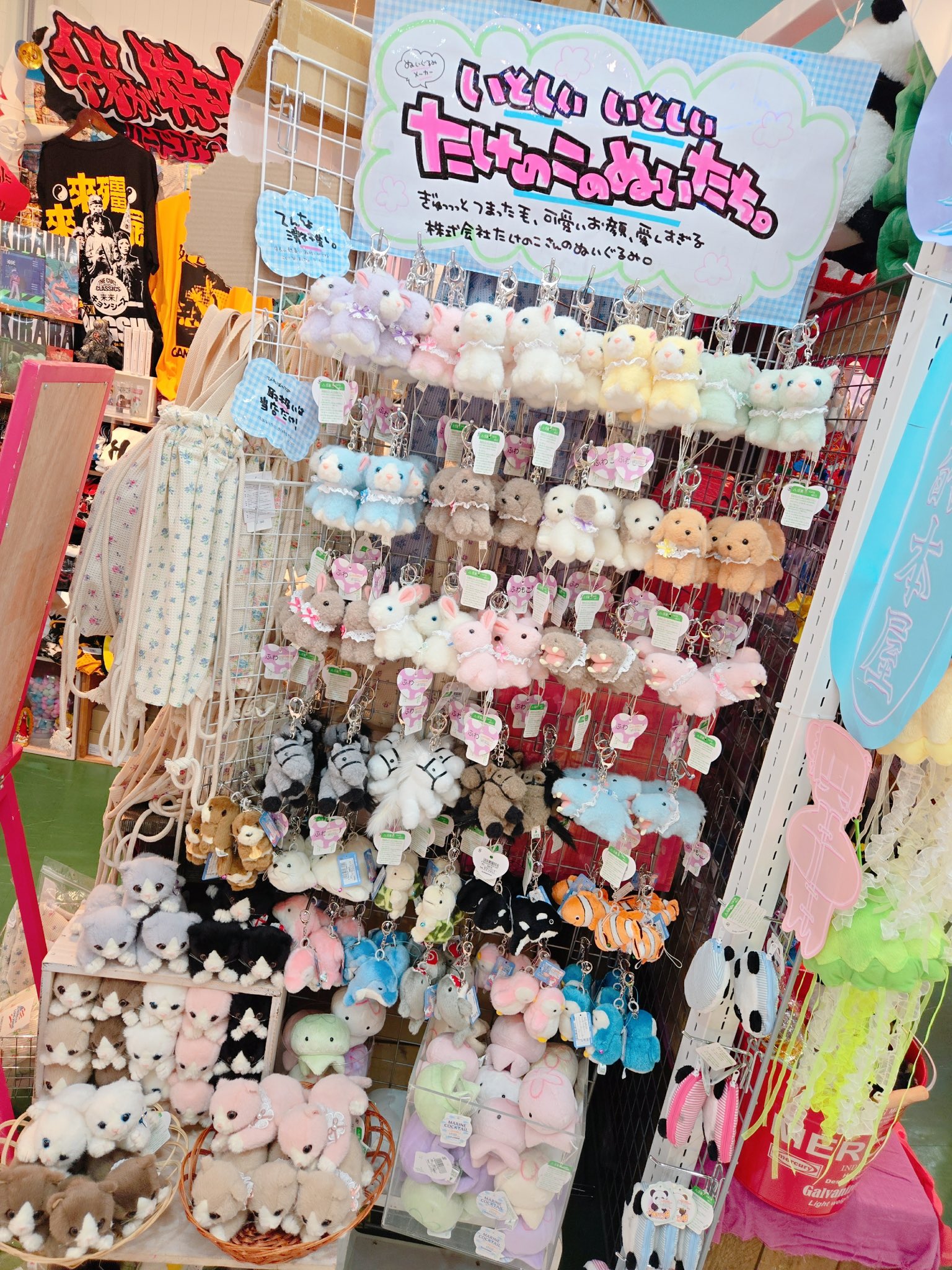 タケノコちゃん専用 タケノコちゃん専用 楽天市場】【あす楽 14時までの注文で当日
