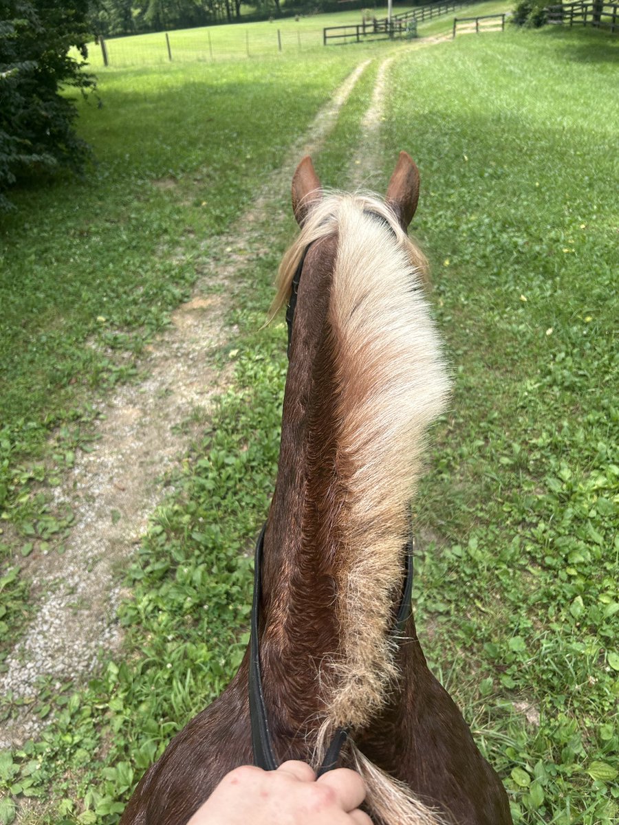 lc🏇🏼 tweet media