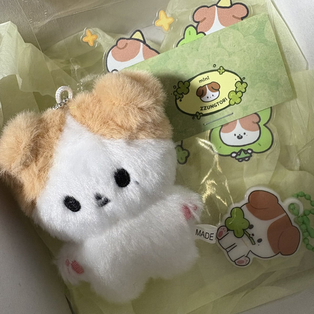 내 쩡토리 귀여움.. 모옹..ᵒ̌ ᴥ ᵒ̌