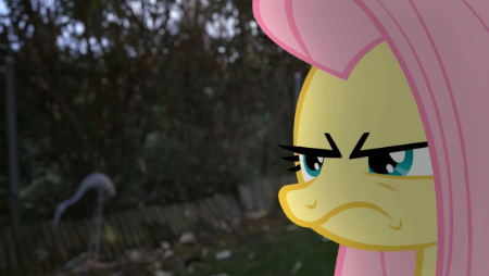 We already have live action MLP: