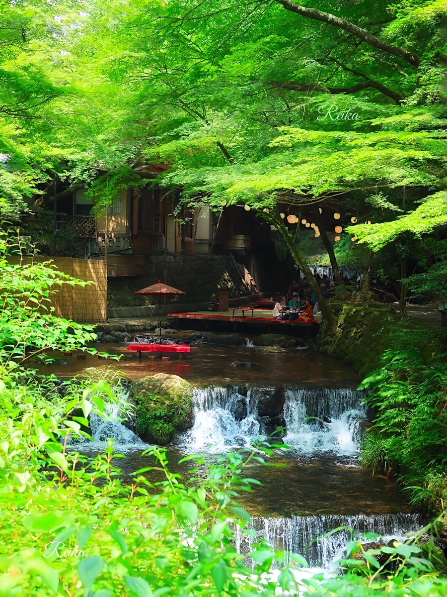 rotsurechiha's tweet image. 夏の風物詩、貴船の納涼床