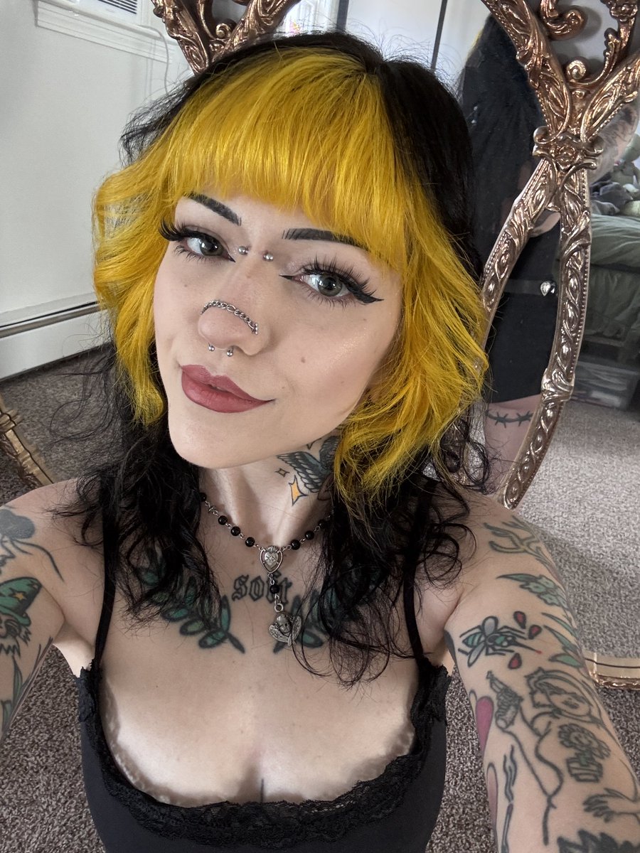 hi ✨