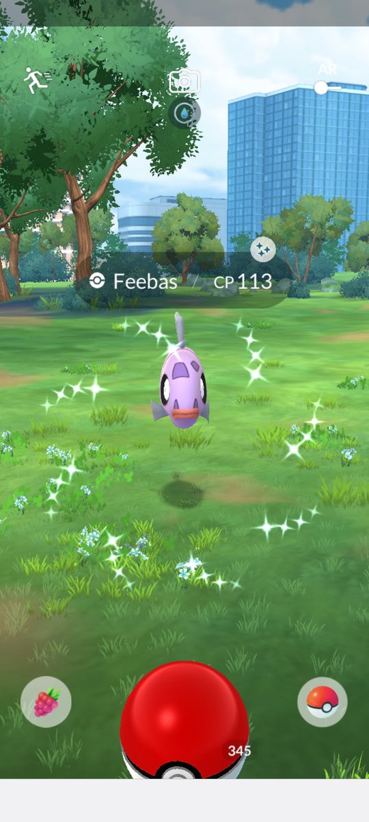 melloskitty's tweet image. Happy Feebas Hour❣️😎

PRs: 
💖 5 shinies, 2 different kinds
💖 261 mons, hand caught 😹

I still dk where my Plus Plus is.😅🤷🏻‍♀️
#pokemongo #spotlighthour #feebas #shinycheck #gottacatchemall