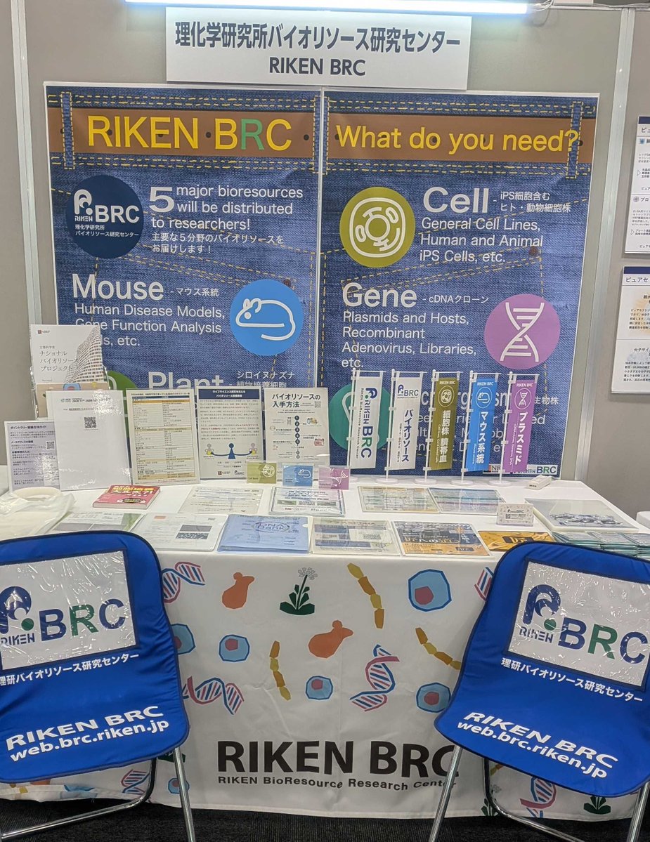 RIKEN_BRC_jp's tweet image. 今日(7/16)から 3 日間、Joint Meeting of JSCB 77th and JSDB 58th にブース出展
しています。動物、細胞、遺伝子リソースに関する資料をお持ちしています。企業展示ポイントラリーにも参加していますので、ぜひウインクあいち 7階にお立ち寄りください。
#理研 BRC #BRC #NBRP