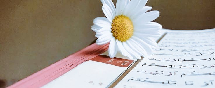 #آج_کی_بات 

 اللہ سے تعلق کی مضبوطی کے لیے روزانہ کوئی ایک نیکی ضرور کیجیے . خواہ وہ چھوٹی سی کیوں نہ ہو ،
ایسی دانستہ نیکی جو مخلوقِ خدا کا دل رکھے ، اس کا  بھلا چاھے، سب سے افضل درجہ رکھتی ہے ، اپنے اطراف کا خیال رکھیئے شاید کسی کو آپ کی مدد درکار ہو!!

صبح بخیر دوستو 🤍🌿