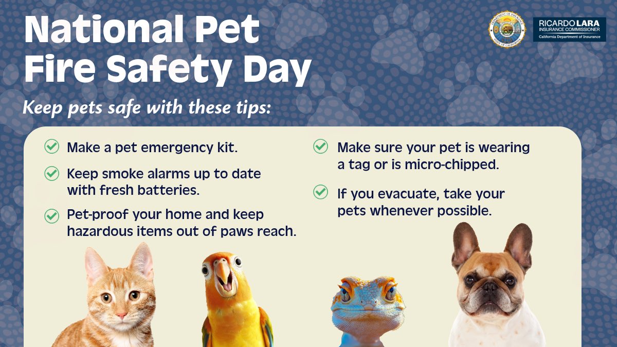CDInews's tweet image. Today is #NationalPetFireSafetyDay! 🐾🔥
Your pets depend on you in an emergency. Make sure they’re part of your fire safety plan. A few simple steps today could make all the difference tomorrow. #PetFireSaftey #DisasterPreparedness #DisasterReady