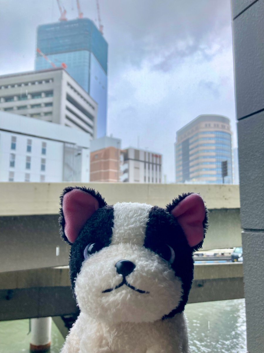 OSTfancy_info's tweet image. おはようございます
東京日本橋の天気は🌧️/27℃
雨が突然振り出したかと思うと
おとなしくなったり不安定な空模様
雨の中撮影したのでビシャビシャ
ごめんねフレブルちゃん😢
本日もよろしくお願いします😊
📷#まねまね録音 #フレンチブルドッグ
#イマソラ
#企業公式が毎朝地元の天気を言い合う
