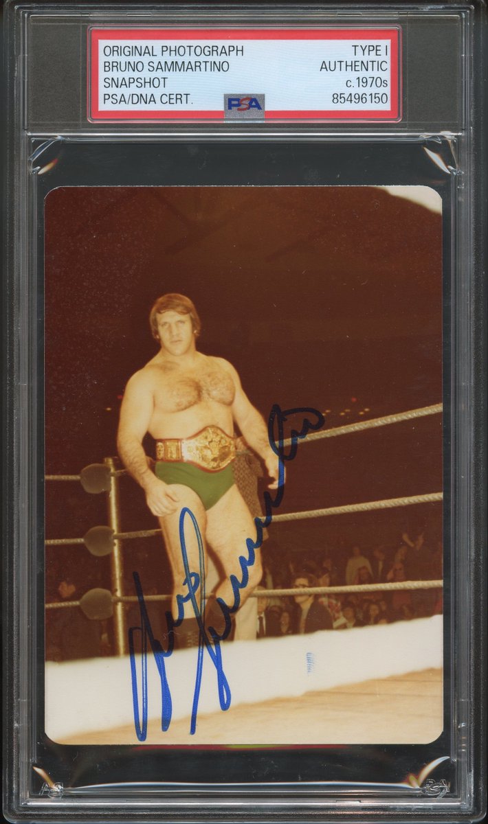 KNAPPCOLLECTION's tweet image. #BrunoSammartino #WrestlingAutographs Type 1 photo #PSA