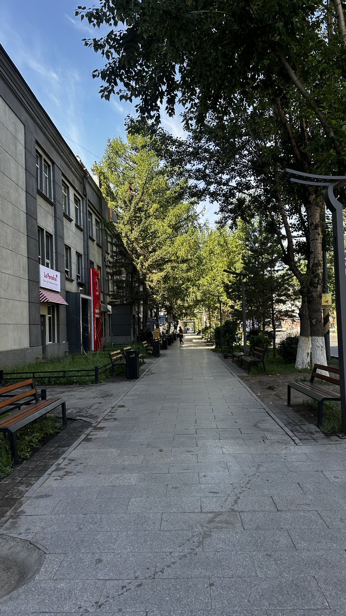 Энэ хотод хэн ч алгаа