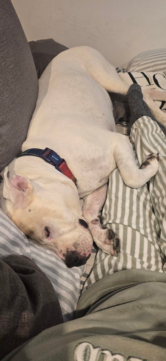 Tu sillón es mi sillón...